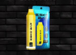 Esko Bar 拋棄式電子煙