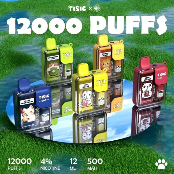 TISIC 貓12000